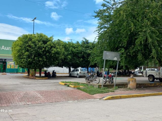 place photo 4