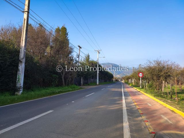 place photo 49