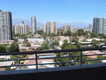 place photo 14