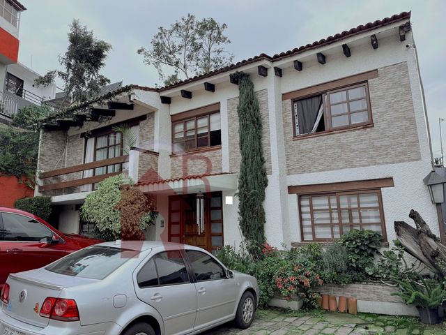place photo 36