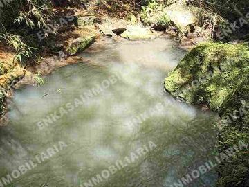 place photo 41