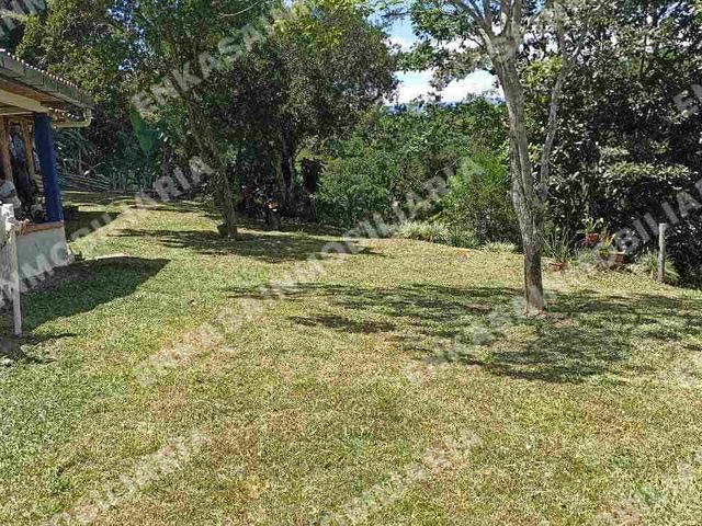 place photo 46