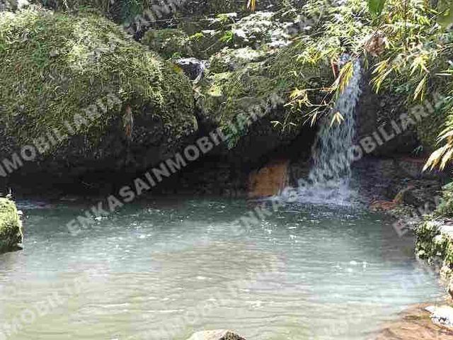 place photo 49