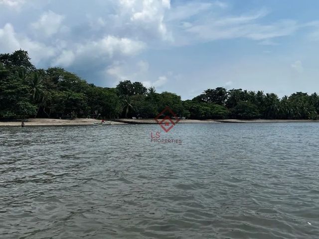 place photo 44