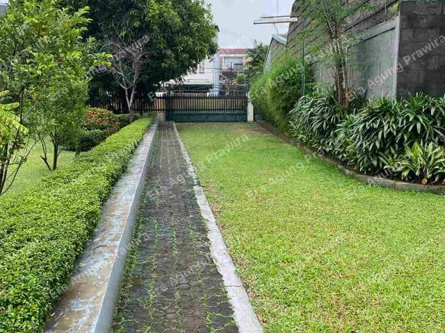 place photo 11