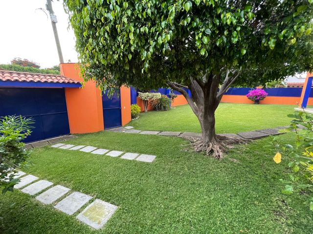place photo 54