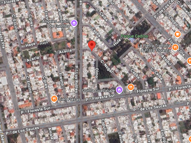place photo 14