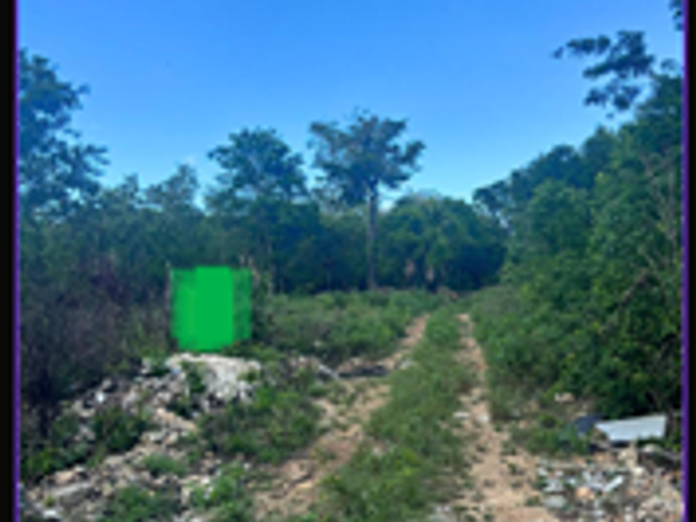 place photo 3