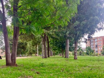 place photo 33