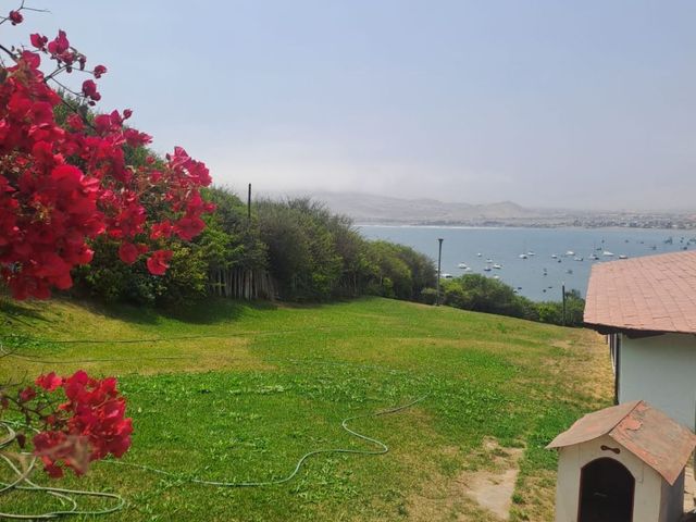 place photo 31