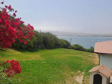 place photo 31