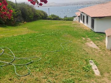 place photo 32