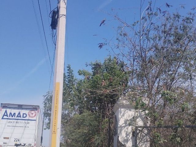 place photo 9