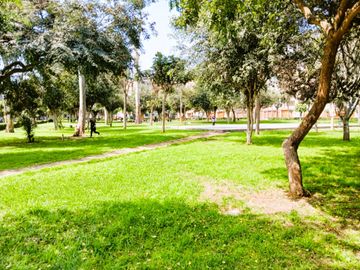 place photo 36