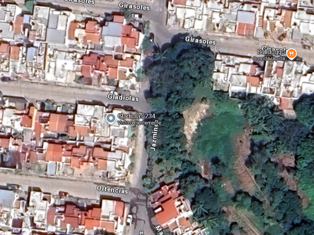 place photo 11