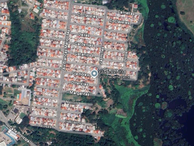 place photo 13