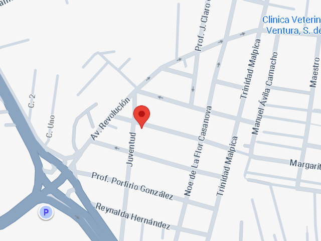 place photo 7