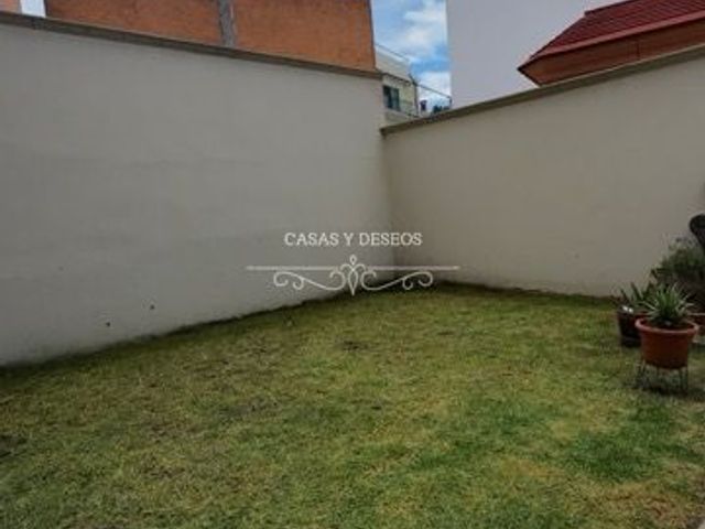 place photo 43