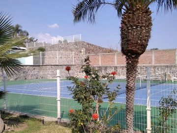 place photo 22