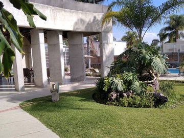 place photo 24