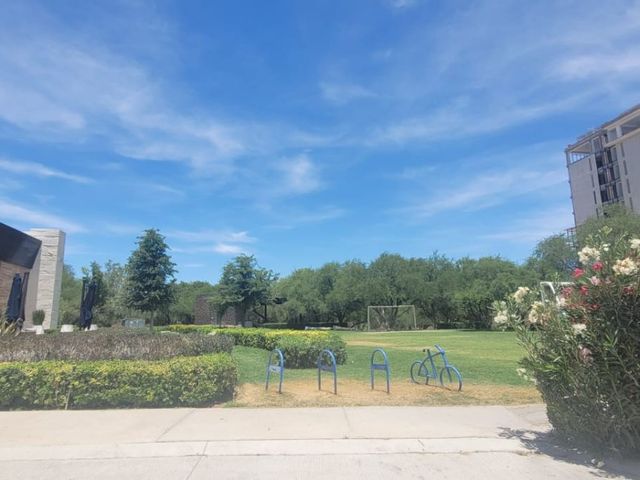 place photo 49