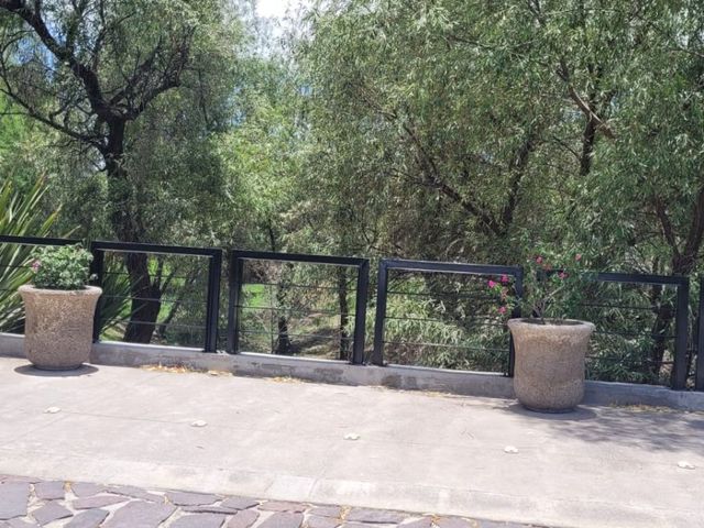 place photo 50