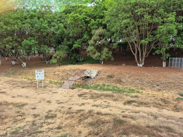 place photo 30