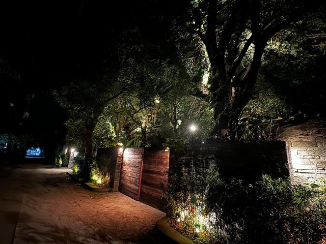 place photo 37