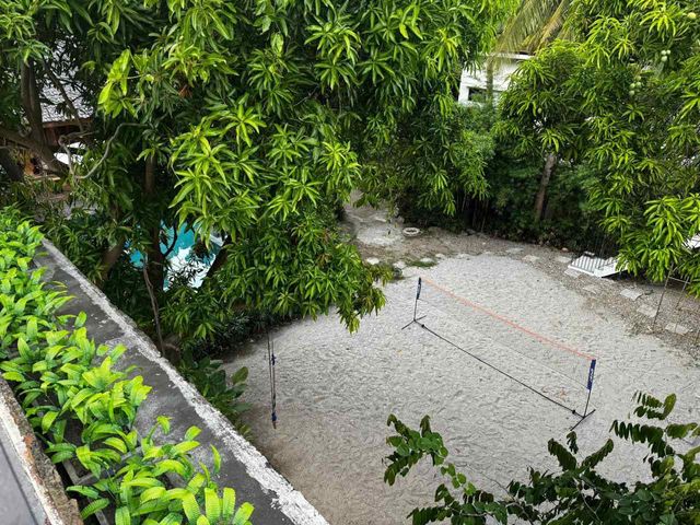 place photo 40