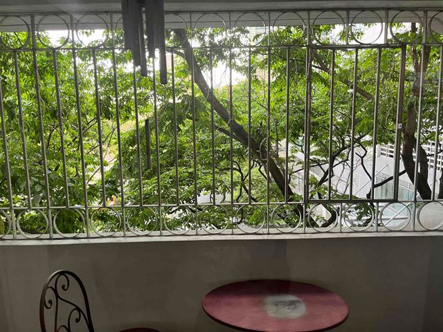 place photo 37