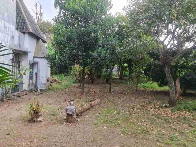 place photo 27