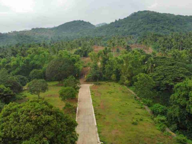 place photo 4