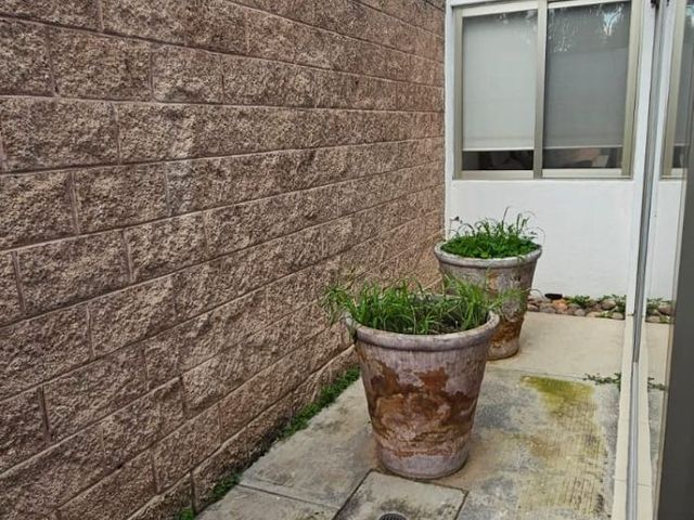 place photo 42
