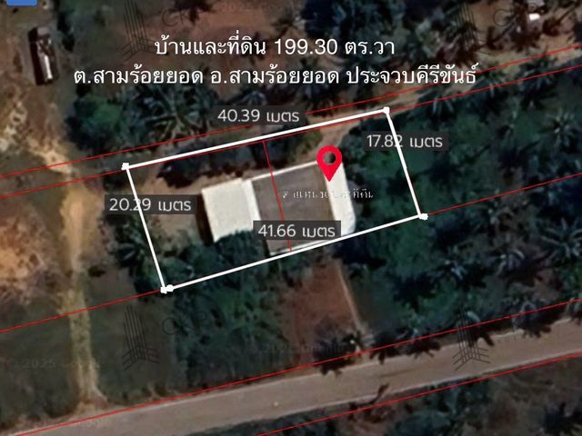 place photo 24