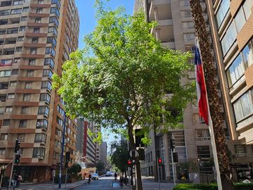place photo 23