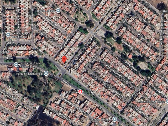 place photo 6