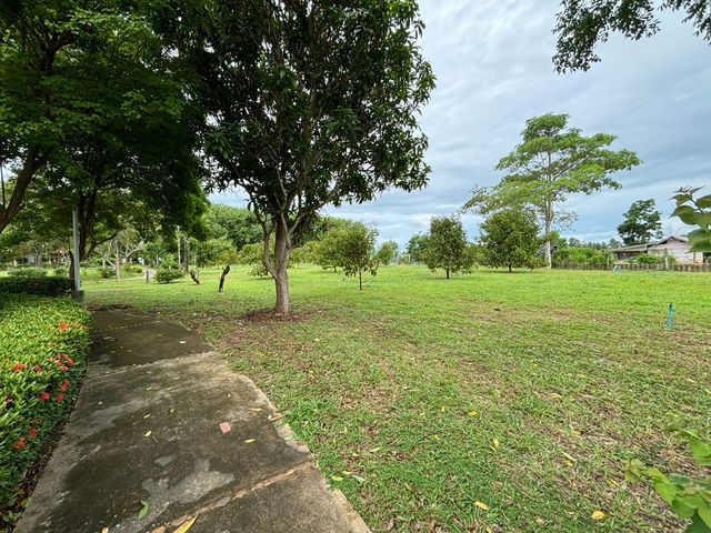 place photo 49