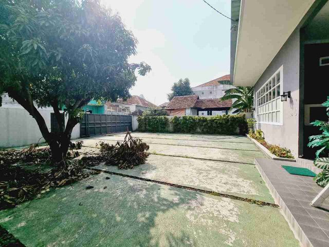 place photo 6