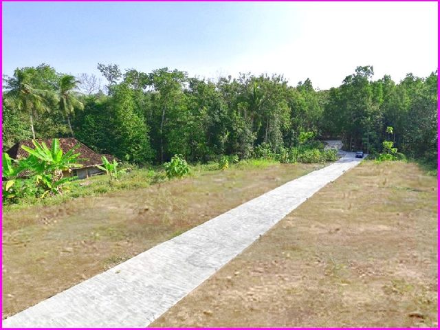 place photo 6