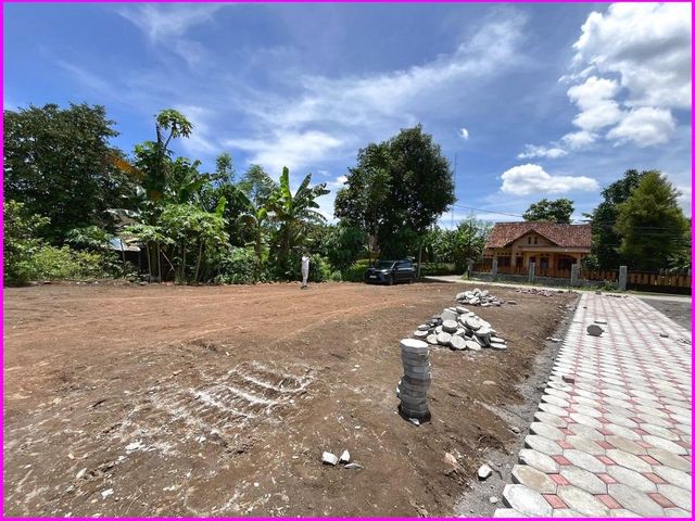 place photo 3
