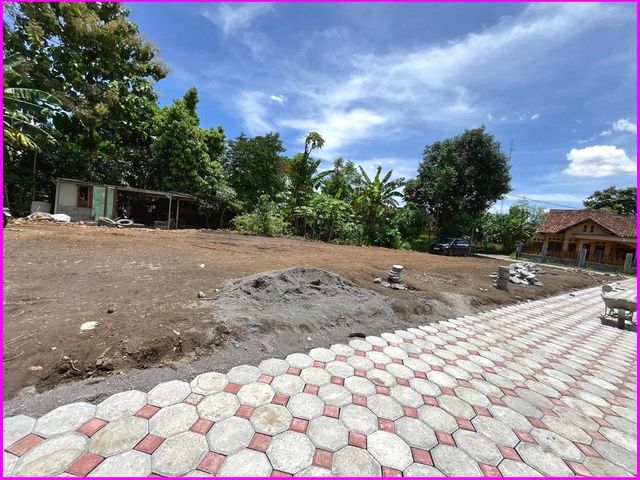 place photo 5