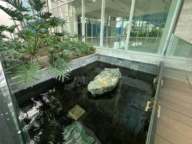 place photo 66