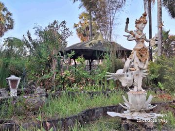 place photo 11