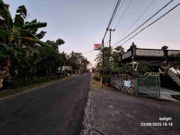 place photo 12