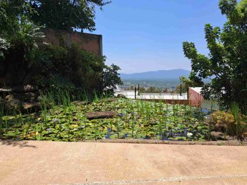 place photo 42