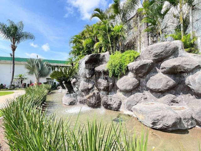 place photo 19