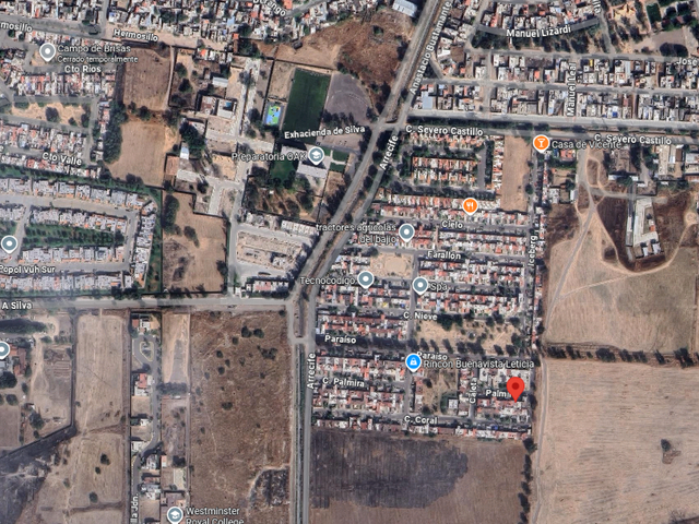 place photo 12