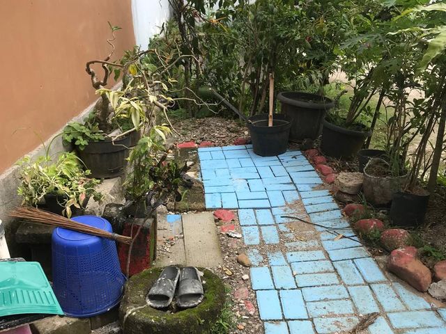 place photo 18