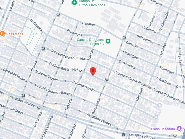 place photo 13