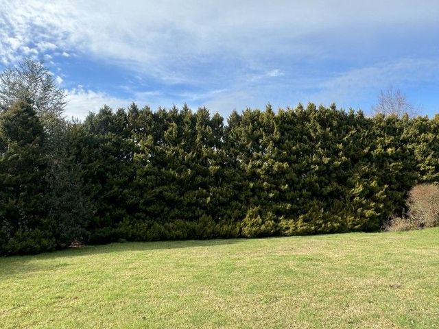 place photo 42